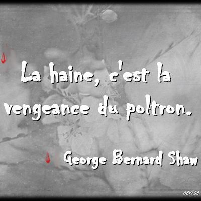 citations illustrées : la haine