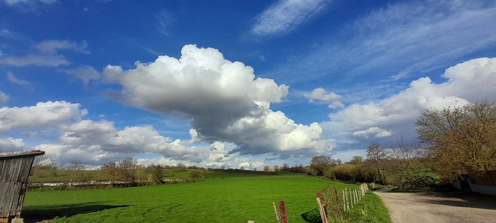 Ciels et paysages de février et mars