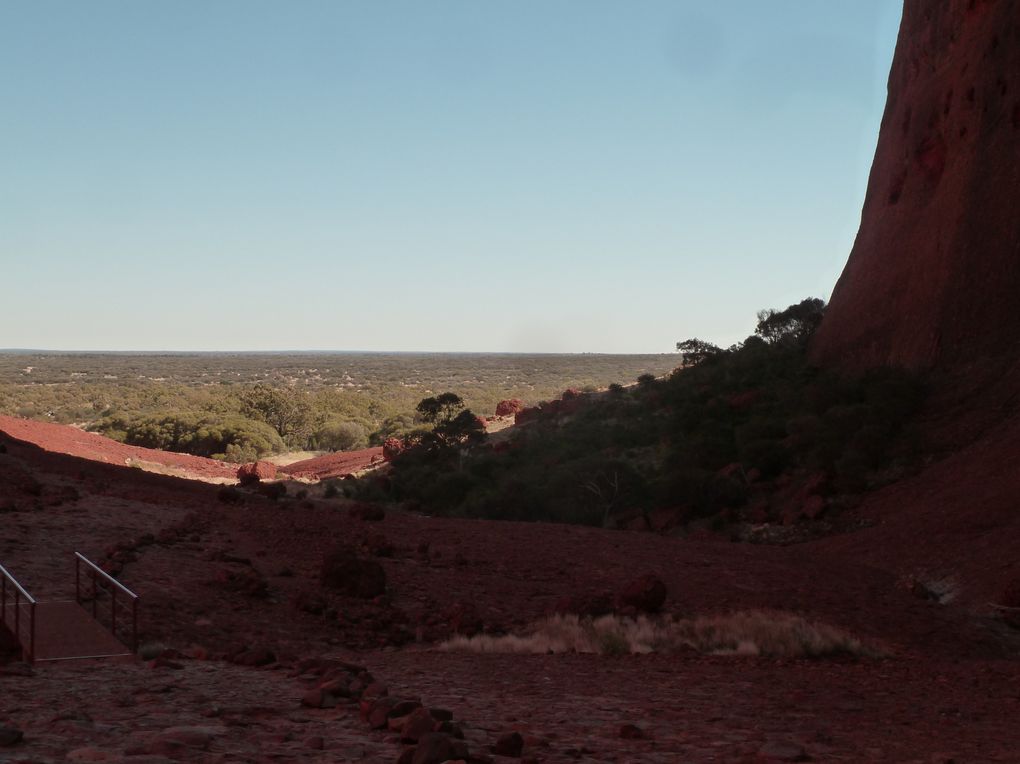 Album - 41 Uluru und die Olgas