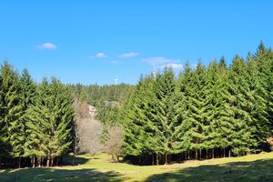 Autour du Parc éolien de Belfays