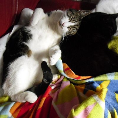 nous voilà confiné 