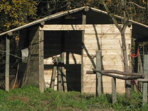 Cabane