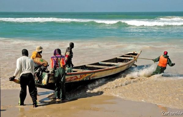 <p>Janvier 2006, s&eacute;jour au S&eacute;n&eacute;gal. Une petite s&eacute;lection marine, en passant du lac rose &agrave; la langue de Barbarie via l'&icirc;le de Groix.</p>
<p>Vous pouvez me laisser vos impressions et critiques <a href="http://www.barbarette.com/article-3888394.html" target="http://www.barbarette.com/article-3888394.html">ICI</a></p>