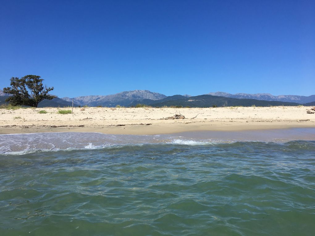 Notre plage, du Sud vers le Nord, vue de l'eau.