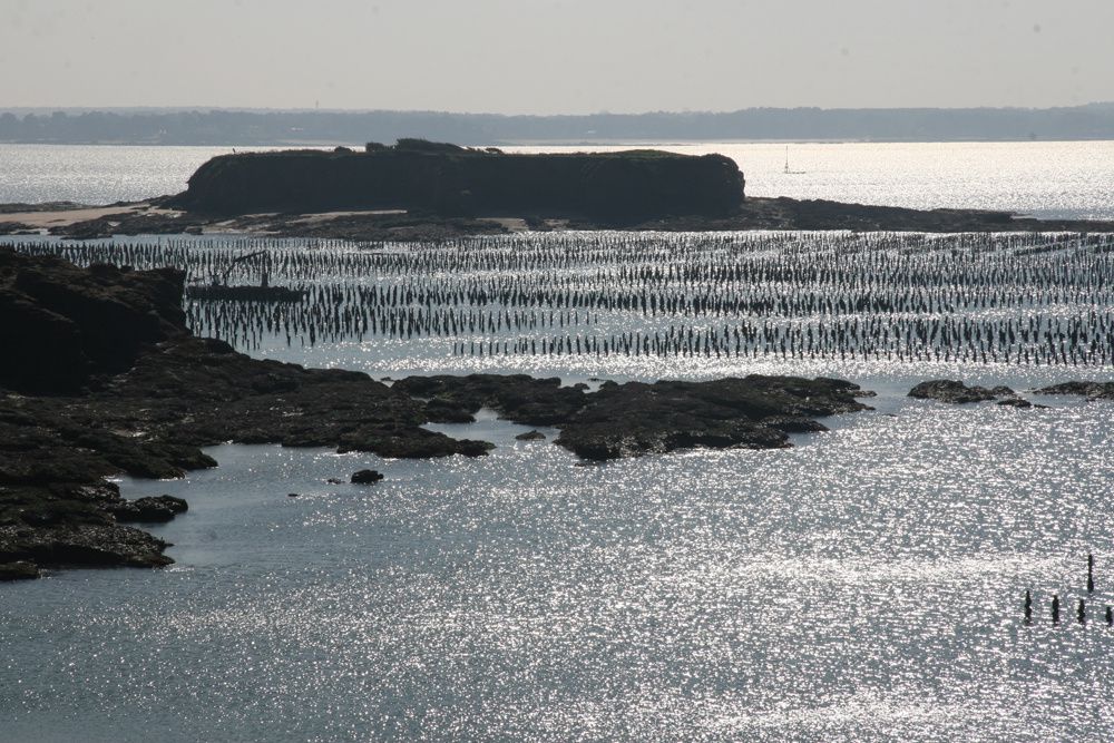 Les parcs à moules de bouchot de la Pointe du Bil