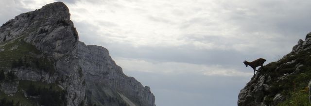 Roche Parnal (1896m) et Sur Cou (1809m)