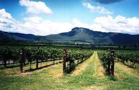 #Pinot Noir Producers Hunter Valley Vineyards Australia Page 2