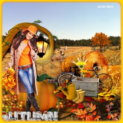 un gif automne