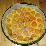 clafoutis aux abricots