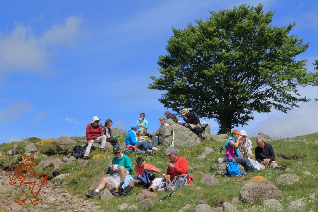 sortie AUBRAC