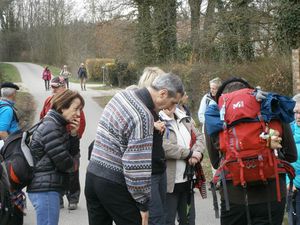 DIMANCHE 25 MARS 2018 - LA DOMBES (Ain)