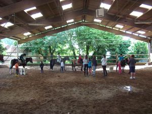 Stage Equitation Comines - 3 au 7 Aout