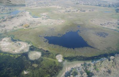 Delta de l'Okavango : la terre vue du ciel !