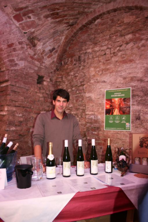 Album - Vinissage-2013