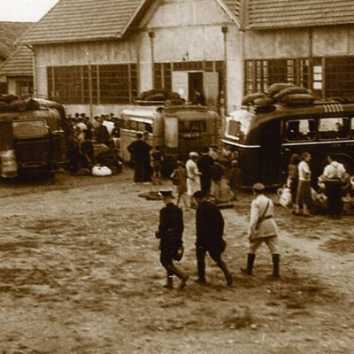 Plein cap à l’extrême-droite – Maintien du droit du sol à Mayotte comme ailleurs !