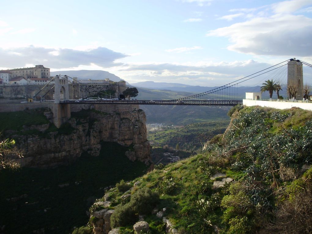 C'est une ville incomparable , d'une beauté souvent cachée , comme le furent ses femmes sous leur m'laya noire , un trésor ,bien gardé grace a ce rocher fier , etrange et imprenable.