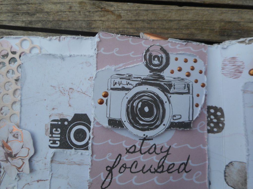 mini album shabby (rose quartz collection de prima)