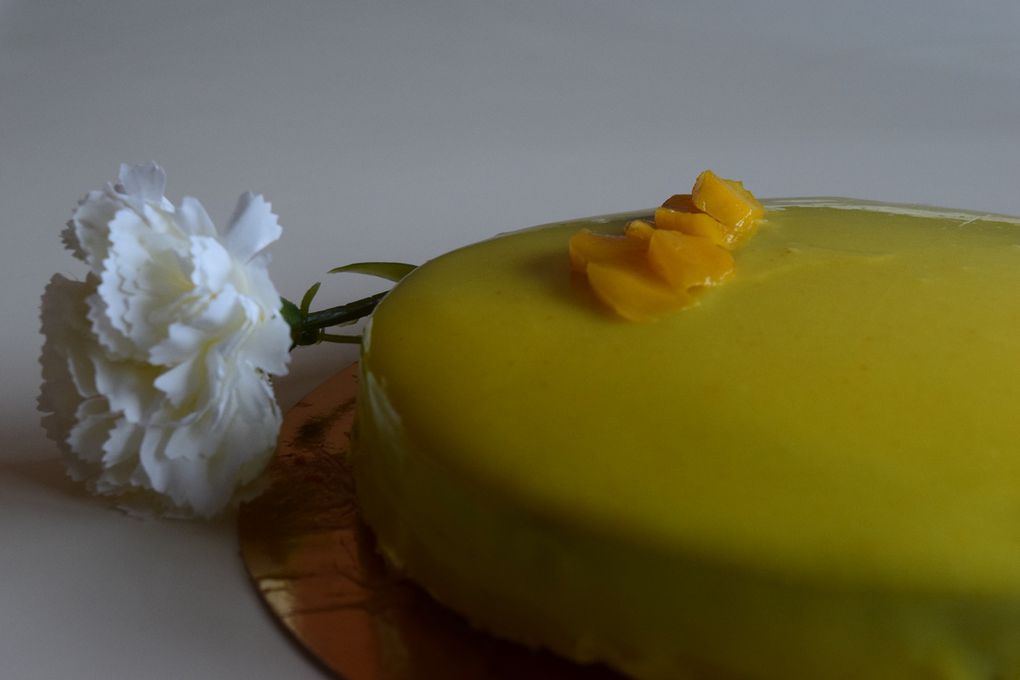 Entremets Mangue-Chocolat / Mango-Chocolate