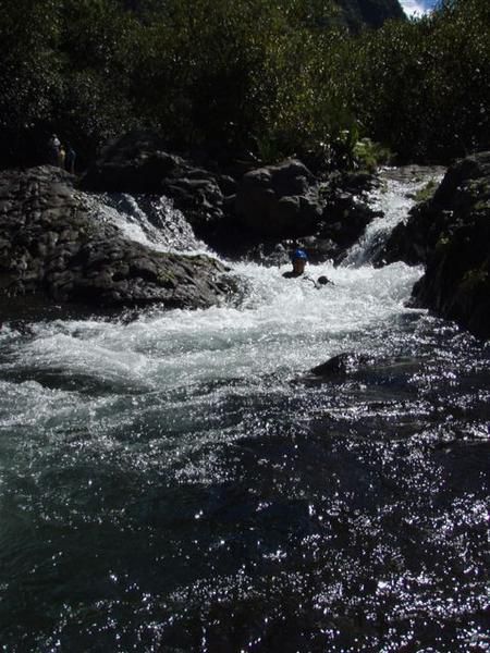 <p>Week end acrobranche, botanique, g&eacute;ologie et hamacs dans la for&ecirc;t du petit Mapou, plong&eacute;e &agrave; la pointe au sel... Merci Transph&egrave;re !</p>
<p>Sinon, il y a aussi le canyonning... Ahhhhhh, le canyon...</p>
<p>Mais aussi de la rando... </p>
<p>Bref, toutes ces belles ballades&nbsp;que&nbsp;nous offre La R&eacute;union !</p>