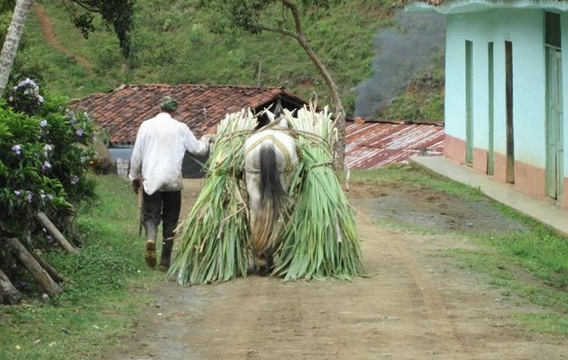 Un témoin colombien à Fumel