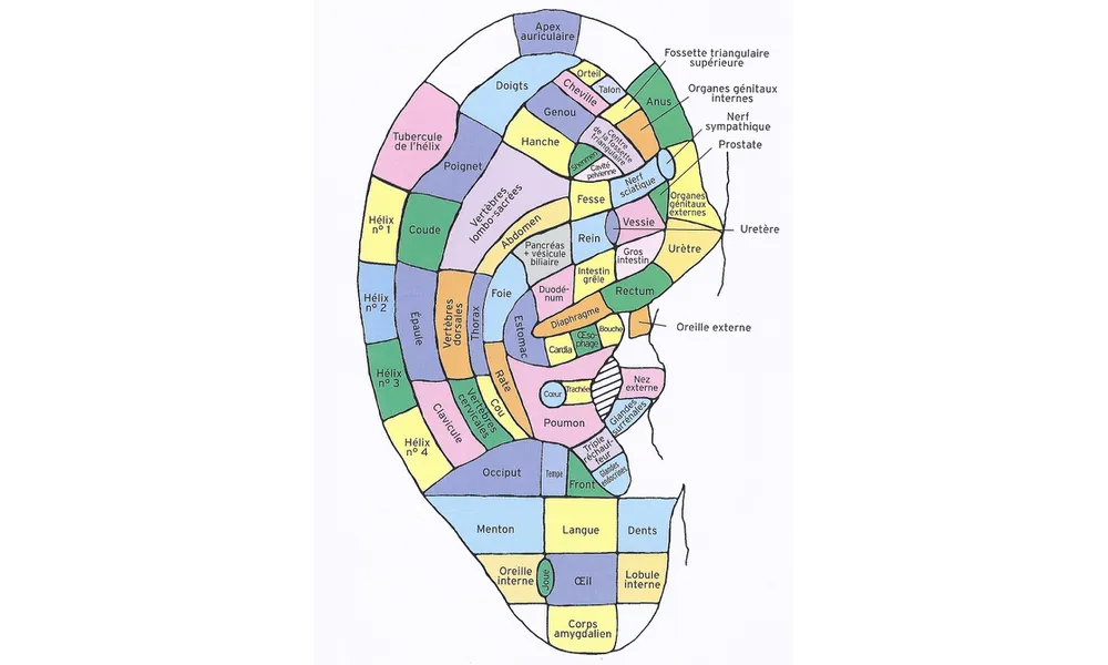 Lille Honfleur Deauville Paris Centre Le Parc Botturi Formation Certifiante Auriculothérapie Chinoise Addicition Laser Formation certifiante Réflexologie Auriculaire Chinoise Amiens Paris Hauts de France Réflexologie Auriculaire Chinoise Honfleur Deauville 