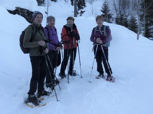 Randonnée raquette en partant du Carnabé à Thénésol le 14 février 2019