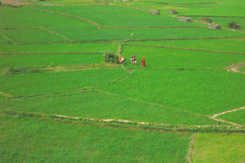 Album - Nepal