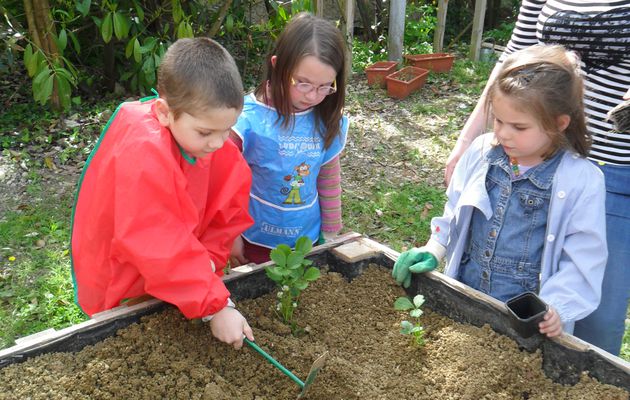 Une rentrée sous le signe du Jardinage.