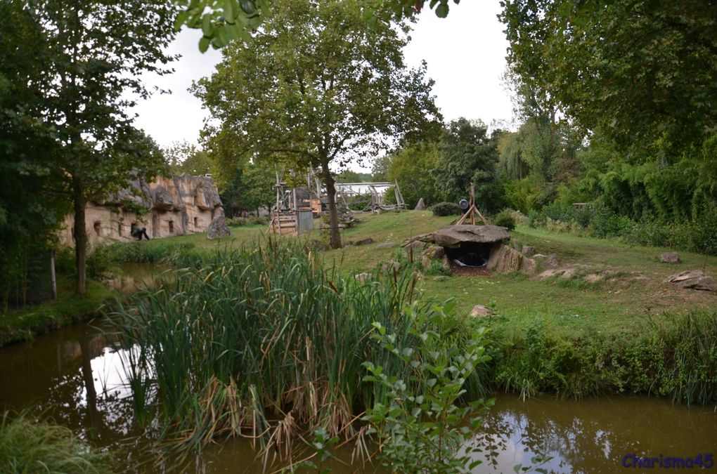 Zoo de Beauval en camping-car (Voyages en camping-car)