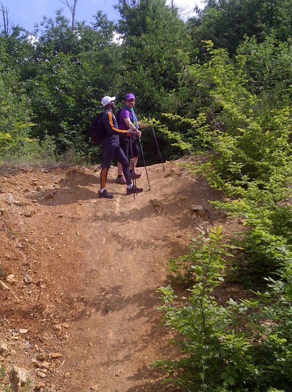 LES ZOUGLOUS 2010-2011 ont pu enfin faire leur première sortie sur les dunes de SAULX LES CHARTREUX et la belle forêt .Une sortie pic-nique est prévue bientôt dans le même lieu .je vous laisse apprecier les photos