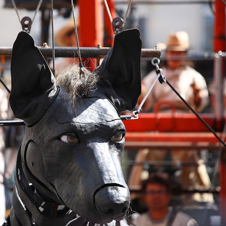 Album - Les carres de Royal de Luxe