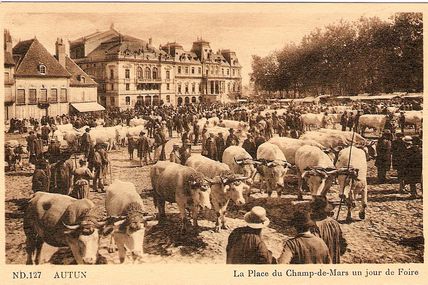 Quartier centre ville : la place du Champ de Mars.