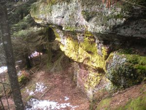 Mercredi 5 septembre – Randonnée dans le massif de la Madeleine, à Saint-Dié-des-Vosges