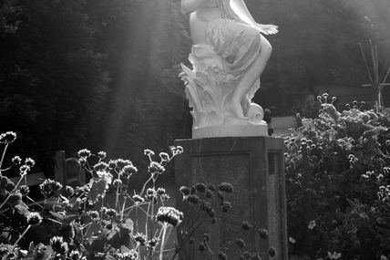 Le charme des statues du jardin des Plantes (Angers)