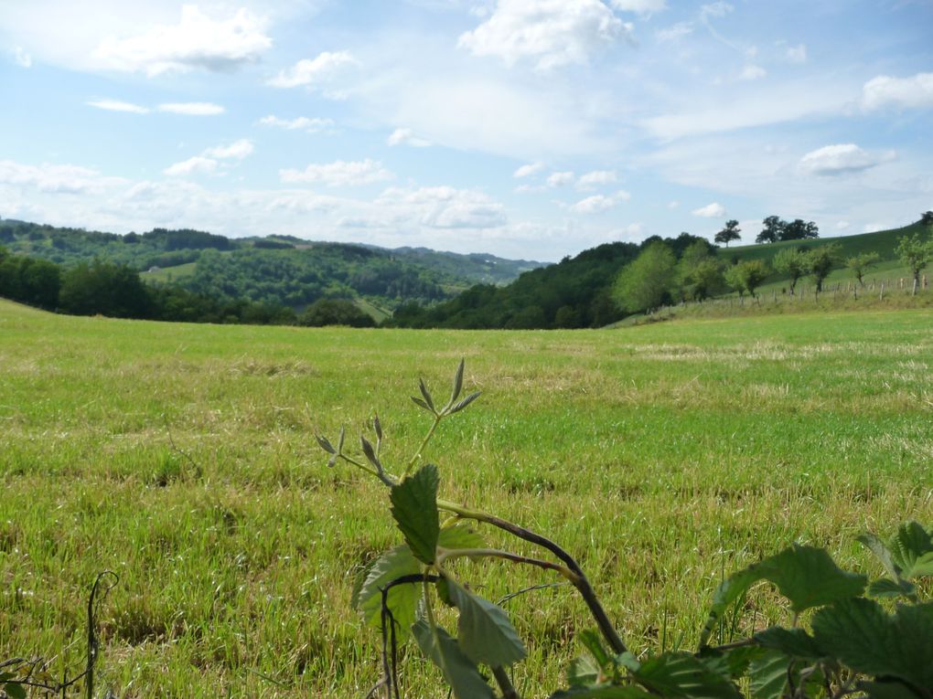 Nombreux panoramas sur les hauteurs de Terrou et Saint Médard Nicourby, une rando très nature...