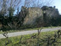 Saint-Christol : Syrah, ruine, Grenache