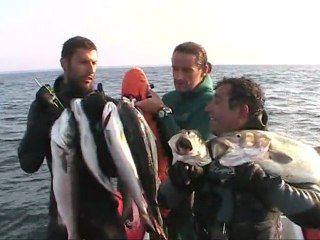 video chasse sous marine sur épaves