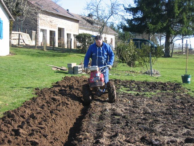 Quelques vues du jardin