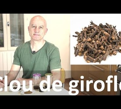 Clou de girofle