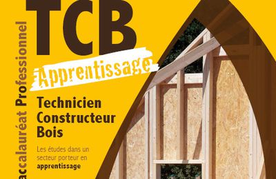 formation BAC Pro Technicien Constructeur Bois en alternance