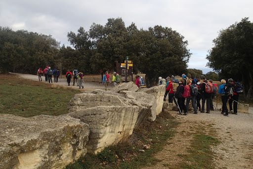 2015-12-17-Camemberts