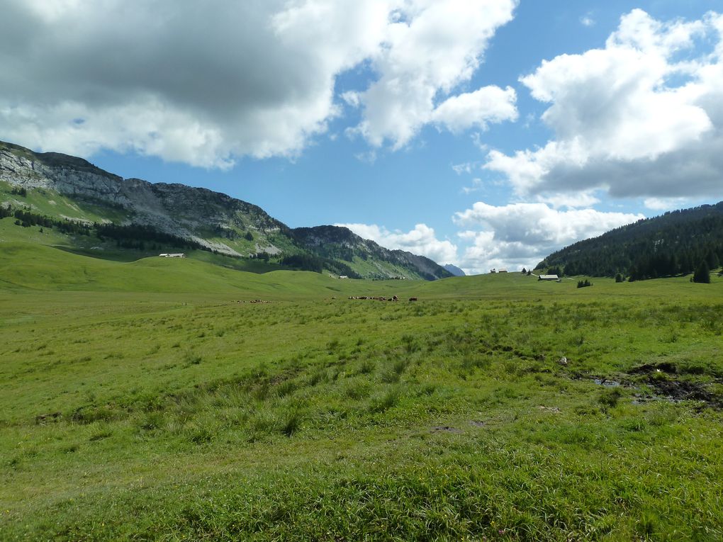 Album - Plateau-des-Glieres