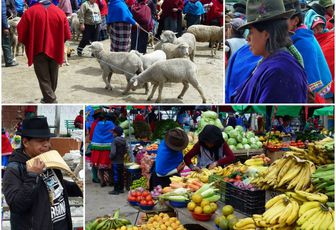 Guamote, authentique marché des Andes