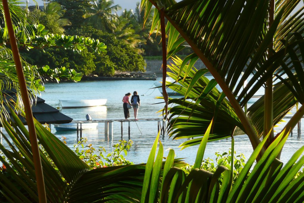 Nos 3/4 jours passés à Maurice, avant de partir Pour Bali