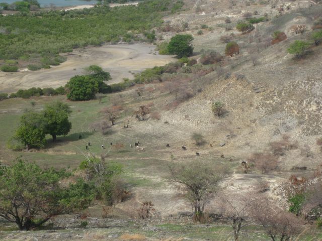 Nosy Lava - le bagne
Nosy Komba
Nosy Be
Diego