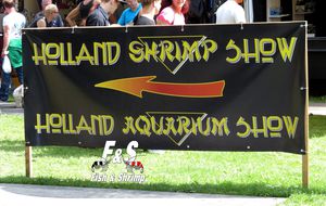 De retour du Holland Shrimp Show 2013