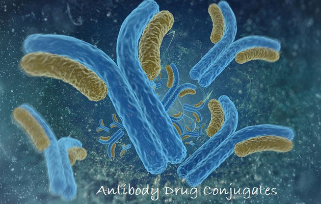 Antibody Drug Conjugate (ADCs) Market Report | 2020-2026