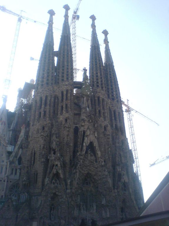 Album - Sagrada Familia