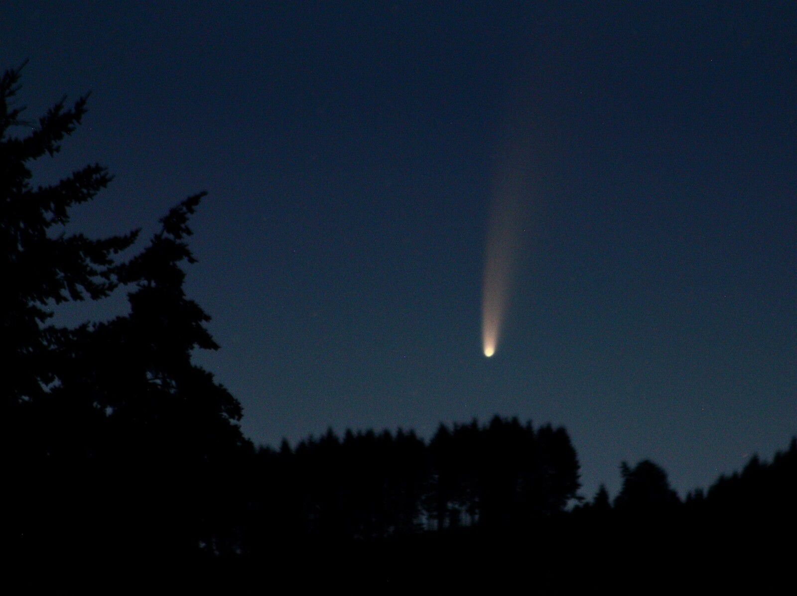 Comète Néowise photographiée par mes soins en juillet 2020 