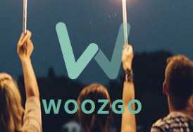Interface de Woozgo
